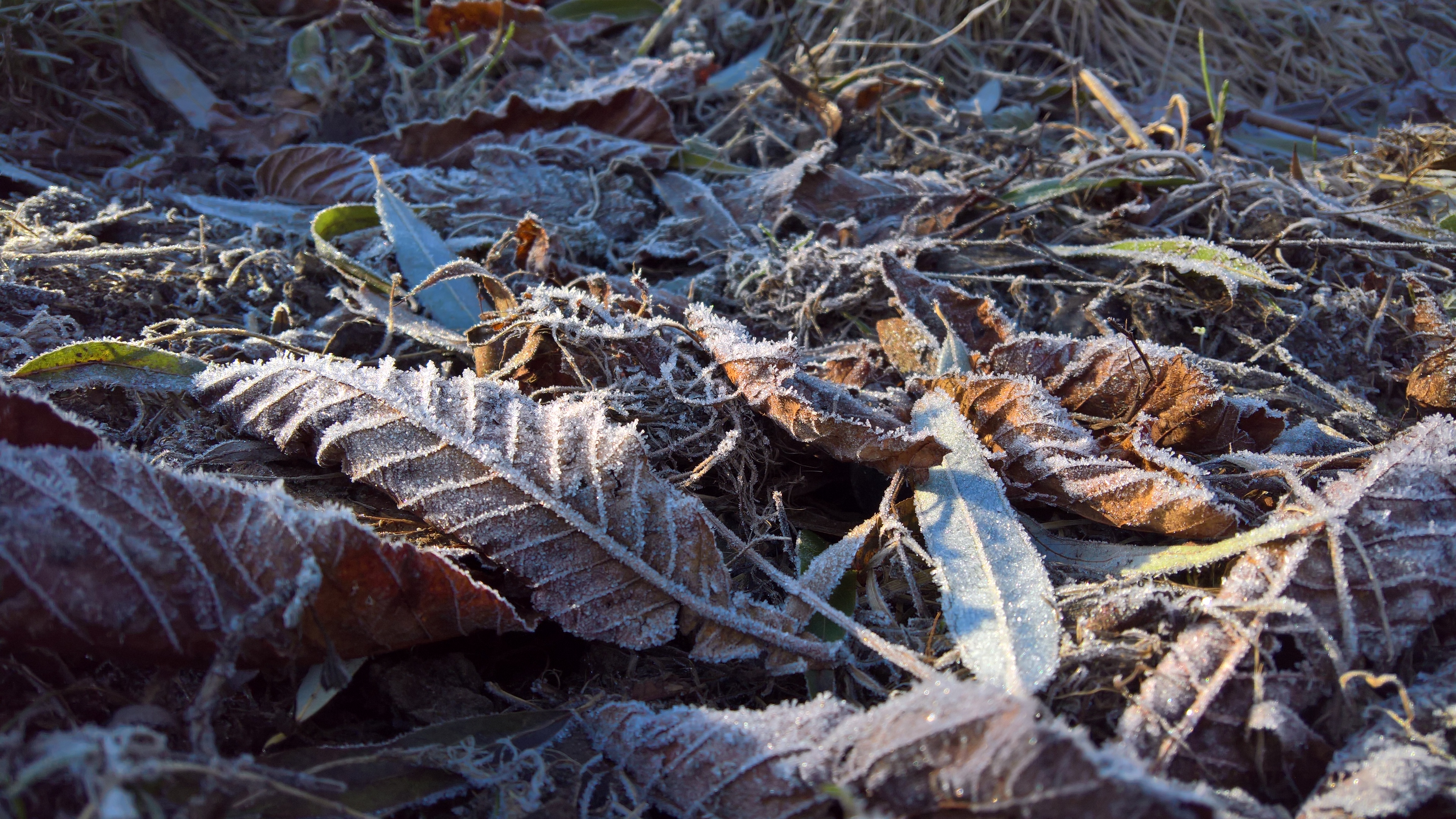 Fallback background image